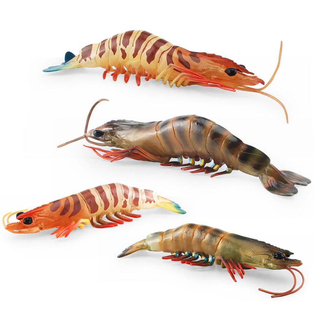 Simuliertes Meereskreaturenmodell Kinderkognition Penaeus Monodon Aquatische Tigergarnele Meeresboden-Tier Statisches Ornament