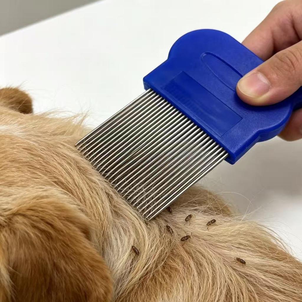 Pet Accessories China Pet Cleaning Grooming Products Pet Hair Removal Tool Kit Lice Combs Detangling Dog Hair Brush 26
