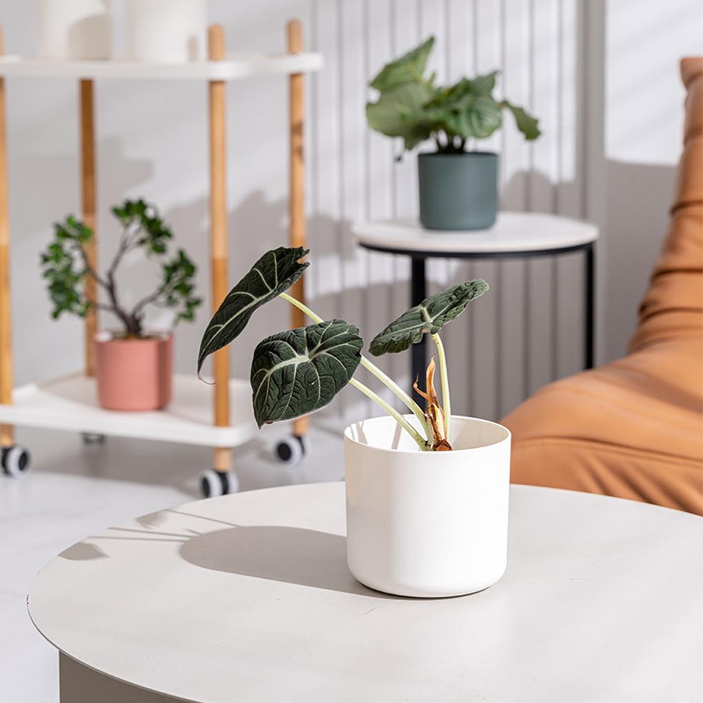 M Pot Transform Home Or Center Flower Pots Indoor Pot For And And Office Plants Planters For Herb Indoor Plants