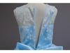 European & American Girls' Lace Flower Princess Dress with Bow & Small Train