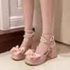Fashion French Square Toe Block Heel High Heels Women's Sandals New Mary Jane Single Shoes for Spring/Summer 2025