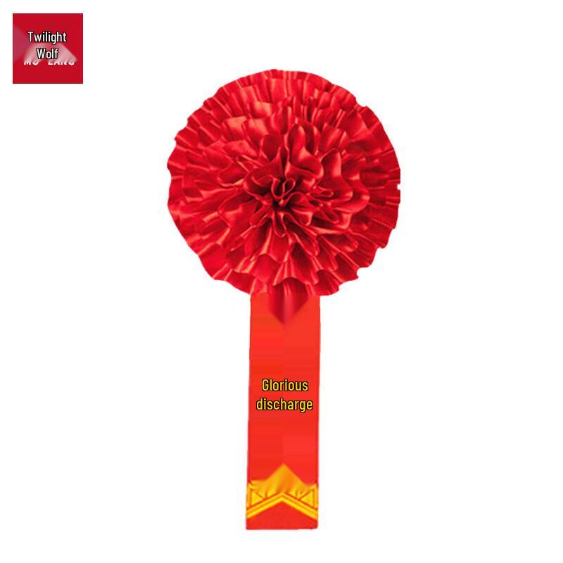 Military Service Commendation Brooch & Sash