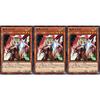 [Set of 3] Yu-Gi-Oh! SD43-JP017 Ghost Ogre Rabbit (Japanese Normal Version) Structure Deck -ALBA STRIKE-