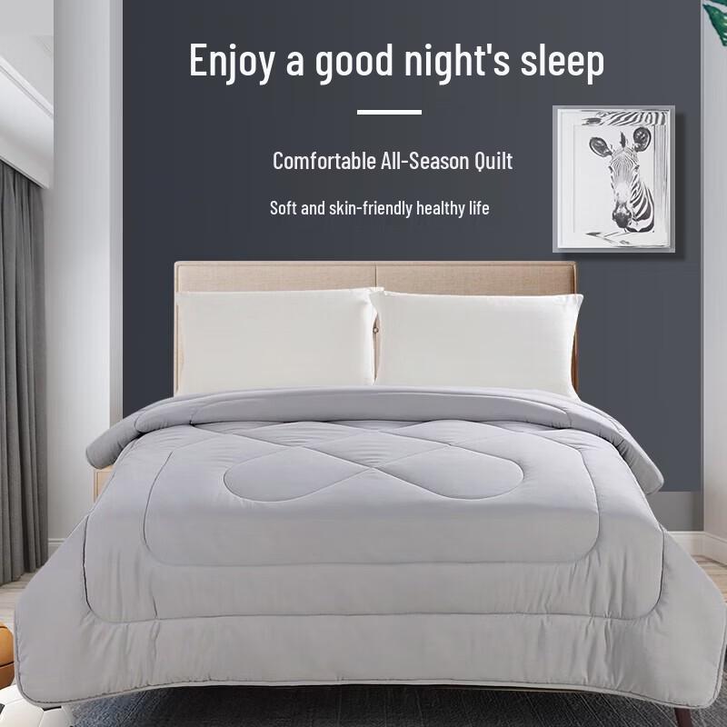 ANCHOW All-Season Comfort Fiber Quilt