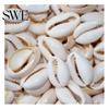 100 Stück Muscheln Kauris mit Loch DIY Armband Halskette Fußkettchen Schmuckstück Schmuck Dekoration