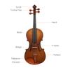 Full Size 4 4 Acoustic Violin Spruce Wood Top Maple Back & Scroll & Fingerboard with Carry Case Bow Rosin for Kids