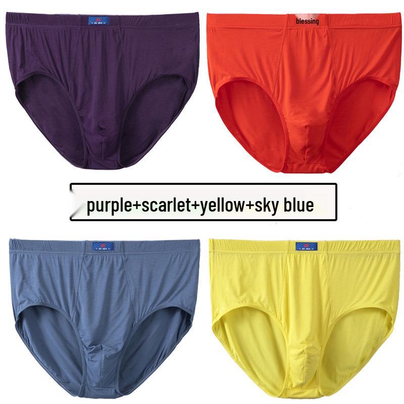 

4-Pack Modal Cotton High-Waist Plus Size Panties XXL