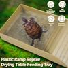 Tortoise Food Dish Plastic Turtle Food and Water Bowl Tortoise Habitat Accessory with Anti-Slip Ramp Turtle Reptile Bathing Pool
