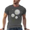 Trio of Dandelions Minimalist Nature Art TShirt Casual Trendy Streetwear Tee Shirt
