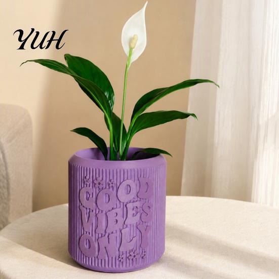 3D Embossed Plastic Plant Container Printed Planter, Small Good Vibes Only Flower Pot, Lightweight Planters for Home Cute Cactus Desktop Office Decor