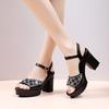 2025 New Exquisite Women's High Heel Sandals Summer Versatile Water Diamond Fashion Sandals Coarse Heel Thin Strap Women's Shoes