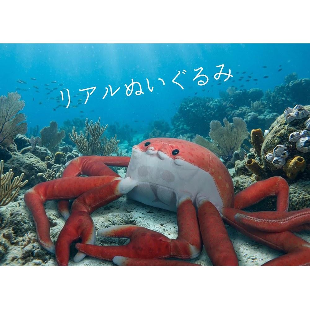 Take-Off Off the Hook Plush Sea Fish and Crab Toy
