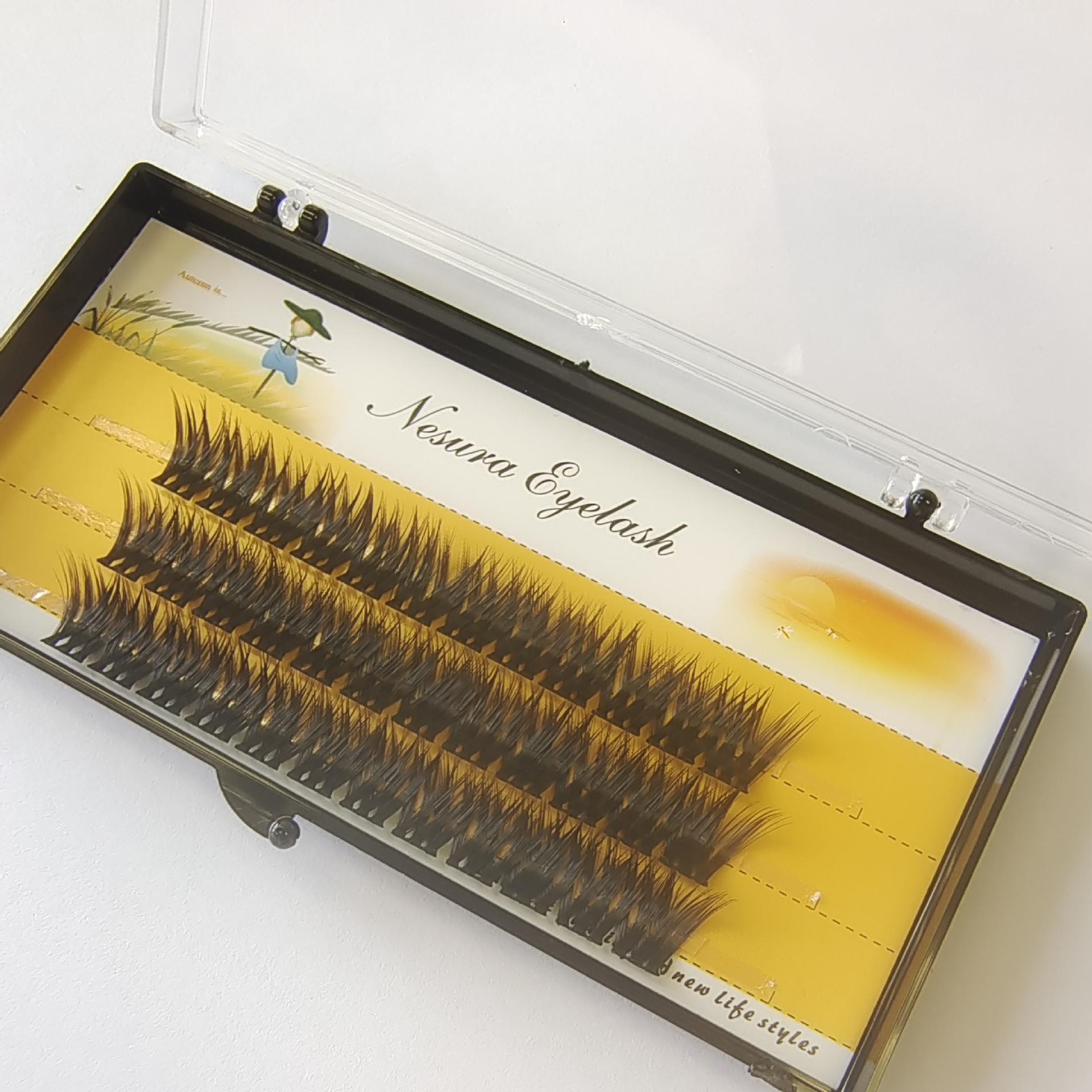 

Segmented W07 False Eyelashes Set D