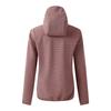 Dare 2B Womens/Ladies Iced Soft Shell Jacket