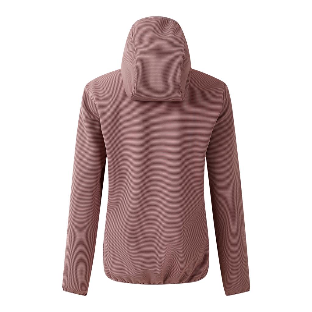 Dare 2B Womens/Ladies Iced Soft Shell Jacket