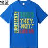 Unisexs tshirt Cotton Shirt Black Summer For Him Tshirt Juneteenth 1865 They Not Like Us Short Sleeve Solid Color ONeck Tees