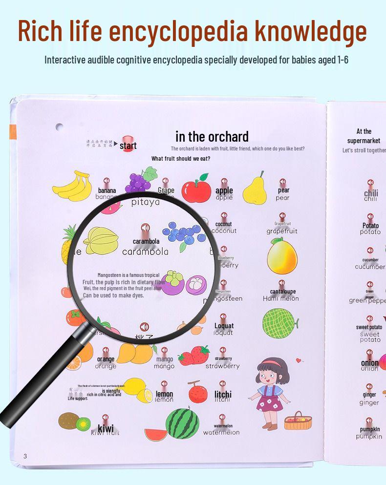 Bilingual Audio Encyclopedia: Interactive Rechargeable Sound Book for Early Childhood Education