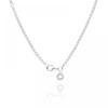 Pandora 399260c00 Moment Rolo Chain Silver Necklace