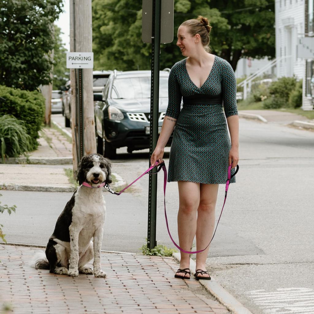 Fida Long Dog Lead with 2 Handles and Soft Pad for Medium and Large Training Lead for Night Reflective Small, Dogs, Pets, (1.2m, Red)