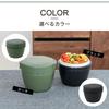 Asvel Black Lunch Cafe Bento Dishwasher Holds Cups of Large Antibacterial Agent HLB-CD800S Jar, Insulated, Bowl, Box, 500ml, Safe, 2.0 Rice, Capacity,