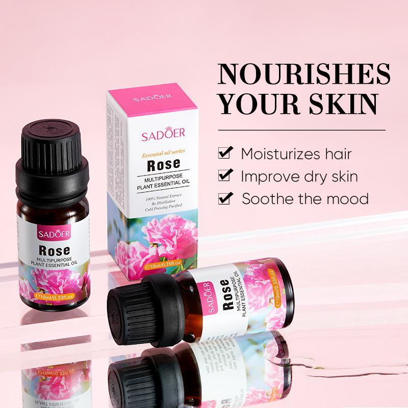 Massage Essential Oil   Plant Therapy Top 3 Organic Essential Oil Singles Set 10 mL Natural Aromatherapy for Diffusion and Body Care