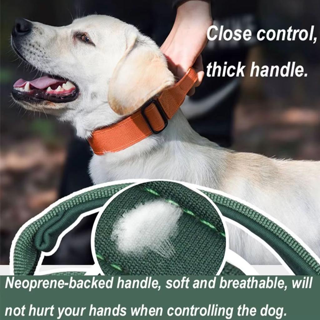 CP407--high Density Woven Pet Carrying Collar,suitable for Medium To Large Dogs, Control Handle Desgin.
