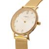 TIMEX Watch Transcend Gold Dial Brass Mineral Glass Quartz 34MM American Watch Brand TW2W19300 Unisex Gold [TIMEX] [Item]
