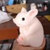 Animal Simulation Piggy Squeeze Toys Slow Rebound Big Piggy Fidget Toy  Sensory Toys