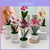 Phalaenopsis Artificial Plastic Flower Bonsai For Event Decoration Home Styling