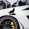 12x12cm Wolf Howl Personalized Car Stickers Window Motorcycle Body Front Rear Decorative PVC Vinyl Decal Auto Decor Accessories