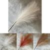 Artificial Phoenix Feather Tail Arrangement For Wedding Photo Props Home Decor