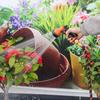 7Mode High Pressure Garden Water  Hose Nozzle Car Washing Yard Water Sprayer Irrigation Pipe Tube Nozzle Sprinkle Tools