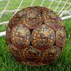 African Wildlife Heritage Round Football Size 5 Adult Ball Suitable for Training Matches and Outdoor Team.
