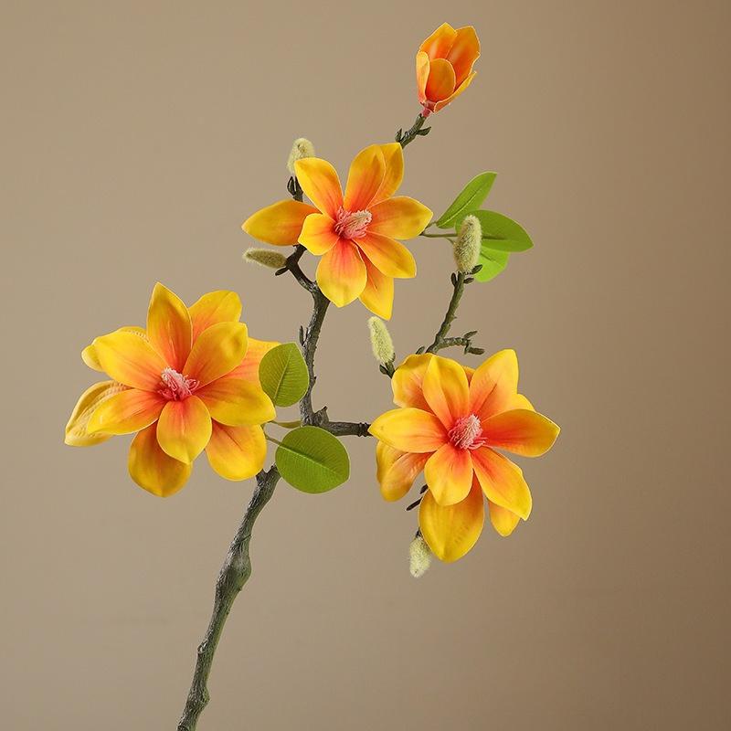 Simulations-Magnolie, Retro-Haushotel, Waldgarten, Landschaftsgestaltung, Magnolienblume, Landschaftsfotografie