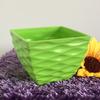 2Pcs Flower Pot Creative Shape High Hardness Plastic All-Purpose Thickened Flower Pot Desktop Ornament for Home