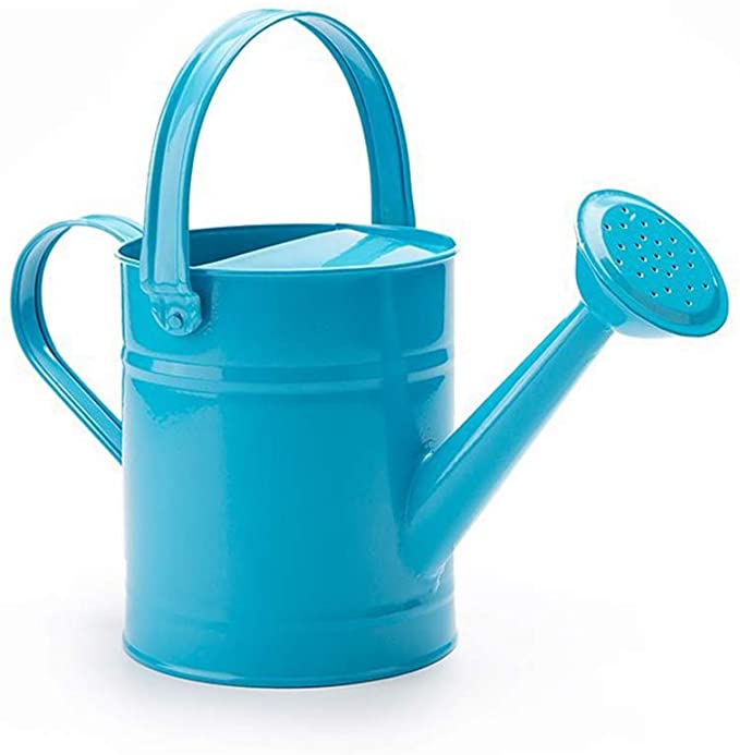 

Multi-Color Metal Watering Can With W/O-Ring,Top Handle,Small Portable Watering Equipment for Indoor Outdoor Garden Plant