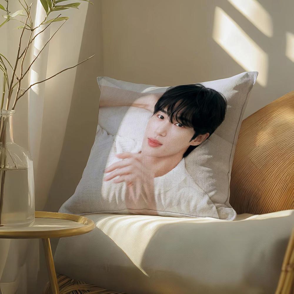 Byeonwoo-Seok Pillow Case Pillowcase, Double-Sided Printed, Sofa Cushion, Bedroom Headboard