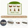 2/5/10 ks Lapače molů Spíž Oblečení Kuchyň Jídlo Domov Zahrada Hubení škůdců Lapače molů Feromon Molů Samolepka Lapač molů