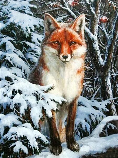 

5d Алмазная картина Новая лиса Зимний домашний декор Вышивка Мозаика Животное Снег Вышивка крестом Наклейка на стену Full Round 20x30CM