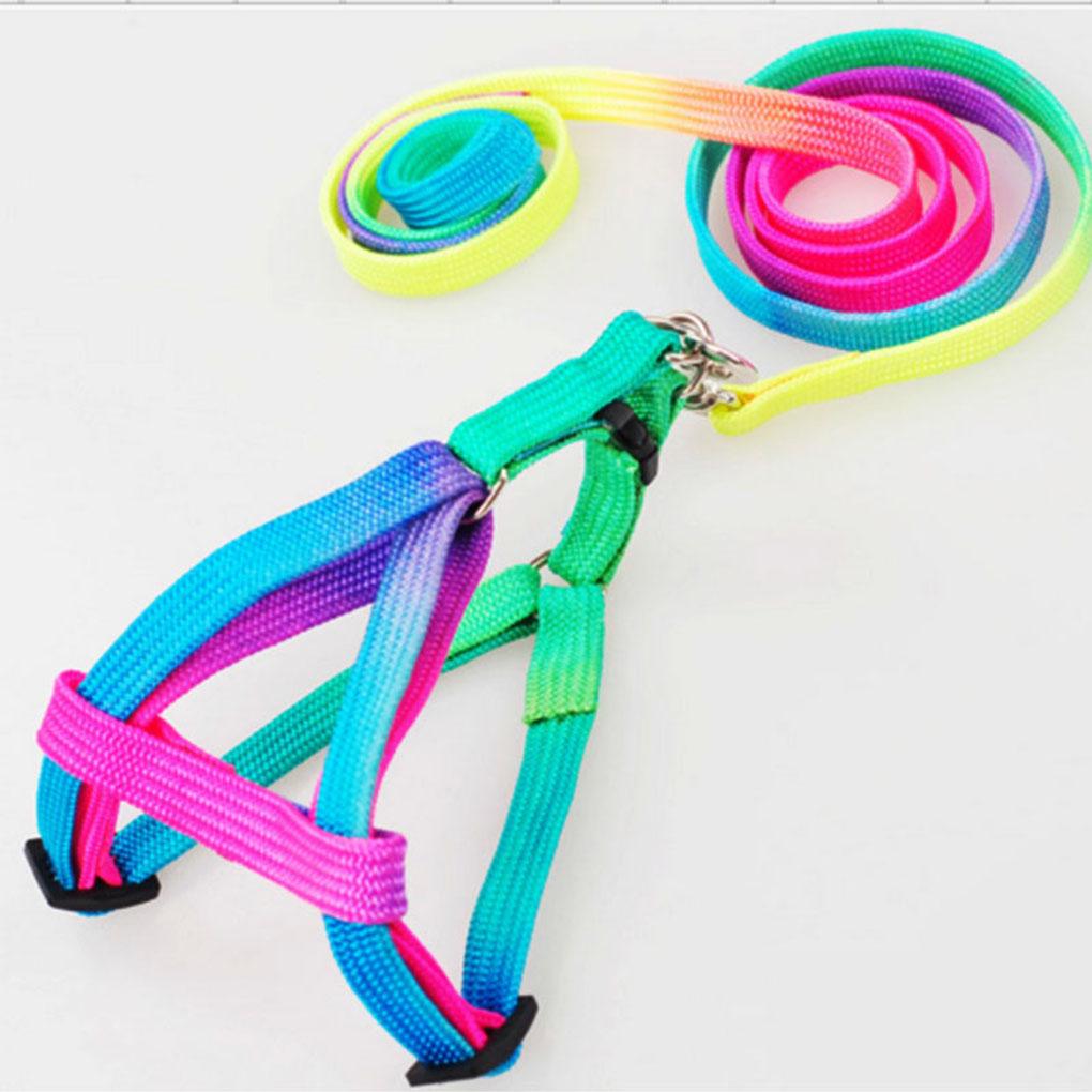 rainbow cat harness