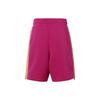 Jordan Casual Shorts Men's Pink CZ4823-615