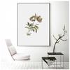 Vintage Wildpflanzen Poster Botanische Blumendrucke Leinwandmalerei Moderne Wandkunst Bilder für Wohnzimmer Dekoration