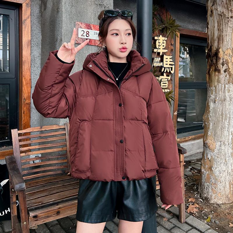 High-End Fashion Petite Down Jacket—Hooded, Thickened, Age-Reducing Women's Winter Wear 2025