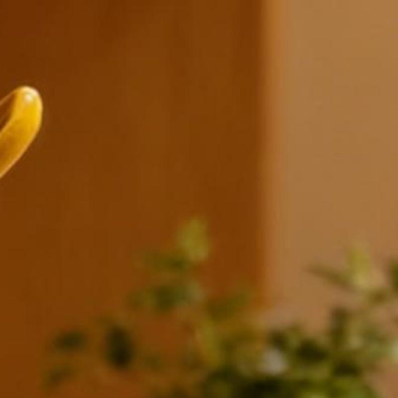 

Lovely Ducks Sculpture Multi-Purpose Creativity Duck Figurine Lifelike Resin Decorative Figurine for Lawn Outdoor Decorations China Mainland