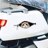 Creative Zipper Car Stickers Weatherproof Scratch Cover Decal High-Definition Printing Realistic Patterns Easy To Apply and Remove Sticker Decoration