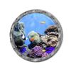 Bathroom Pvc Decals Underwater Fish Wall Stickers Waterproof Capybara Dolphin Tortoise Stickers Washing Machine Decoration