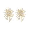 Irregular Ddesign Flower Explosion sShaped Earrings Copper Alloy Micro Inlaid Zircon Accessories Unusual Jewelry For Womens