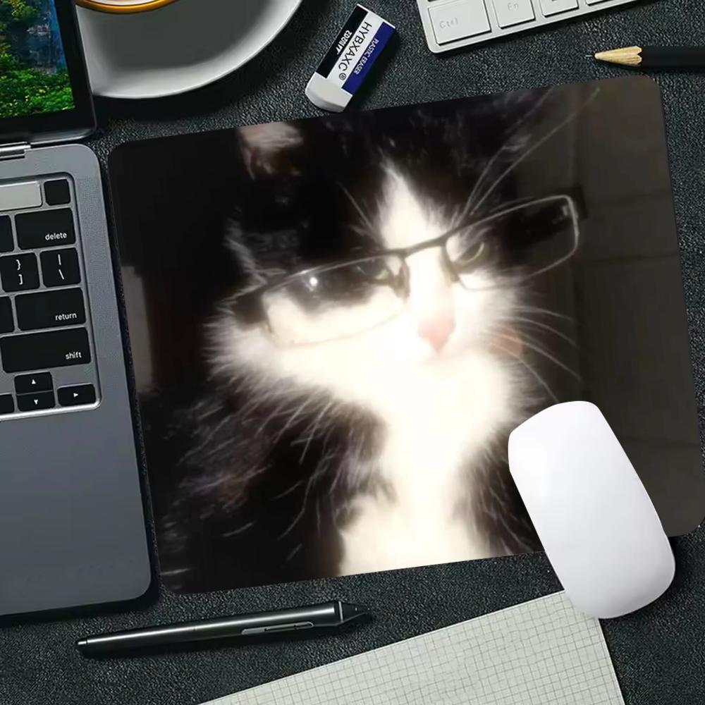 Funny Glasses Pet Portrait Small Mouse Pad 45X50 Laptop Mousepad Keyboard Mat Desk Protector Meme Animal E-sports Gaming Pads