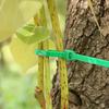 100 Stück Strapazierfähiges Pflanzen-Grün-Stütz-Befestigungskabel, Geeignet für Topfpflanzen und Gartengestaltung