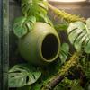Wall Mounted Reptile Hideouts Suction Cup Climbing Habitat Terrarium Decoration  Vivarium Décor